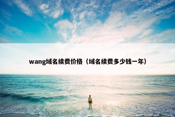 wang域名续费价格（域名续费多少钱一年）