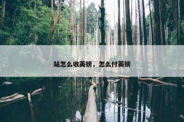 站怎么收英镑，怎么付英镑