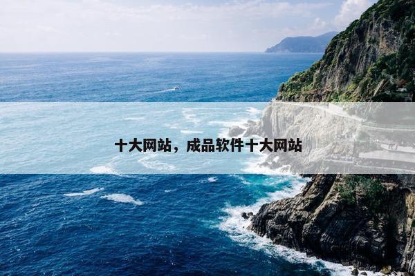 十大网站，成品软件十大网站