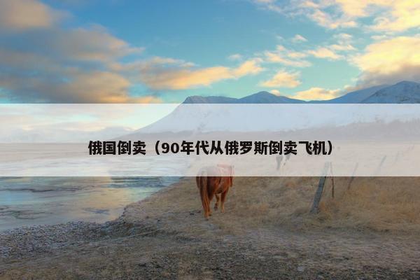 俄国倒卖（90年代从俄罗斯倒卖飞机）