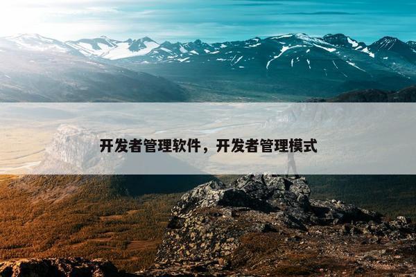 开发者管理软件，开发者管理模式