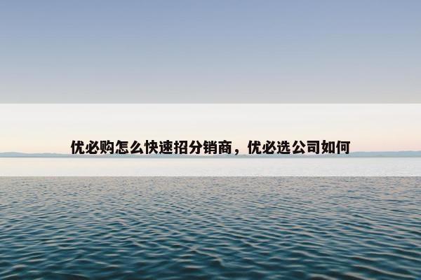 优必购怎么快速招分销商，优必选公司如何