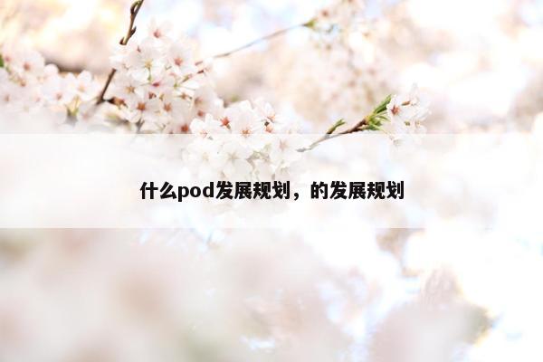 什么pod发展规划，的发展规划