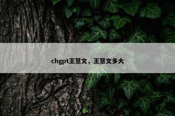 chgpt王慧文，王慧文多大