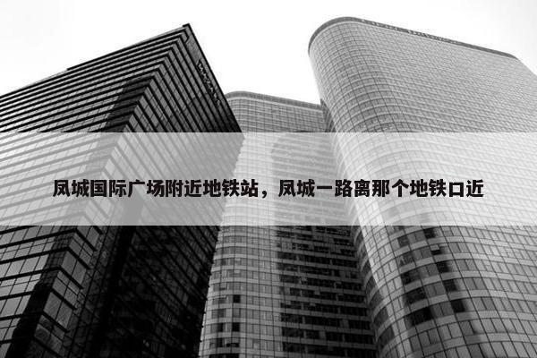 凤城国际广场附近地铁站，凤城一路离那个地铁口近