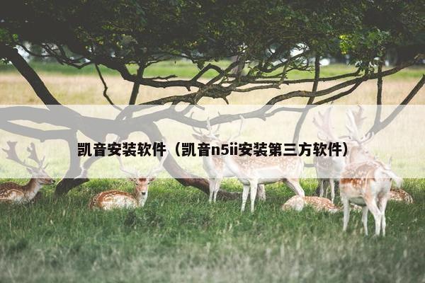 凯音安装软件（凯音n5ii安装第三方软件）