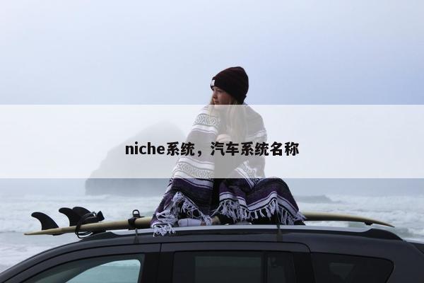 niche系统，汽车系统名称
