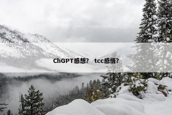 ChGPT感想？ tcc感悟？