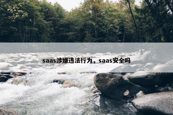 saas涉嫌违法行为，saas安全吗