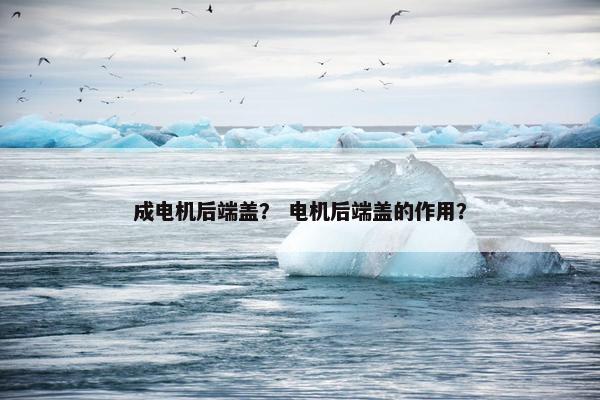 成电机后端盖？ 电机后端盖的作用？