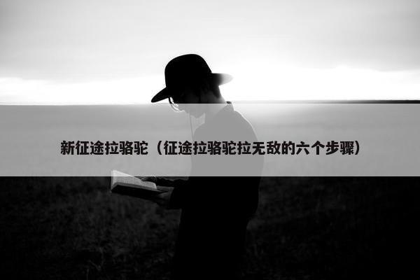 新征途拉骆驼（征途拉骆驼拉无敌的六个步骤）