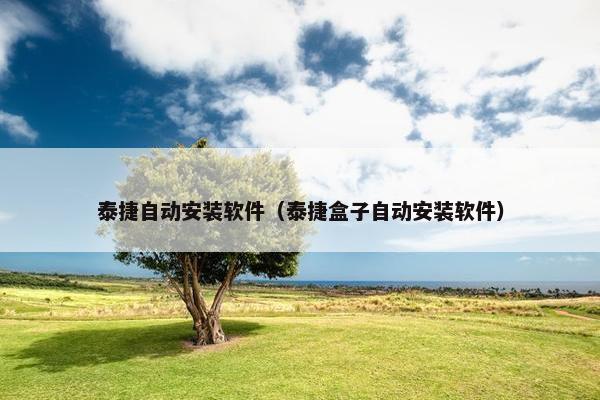 泰捷自动安装软件（泰捷盒子自动安装软件）