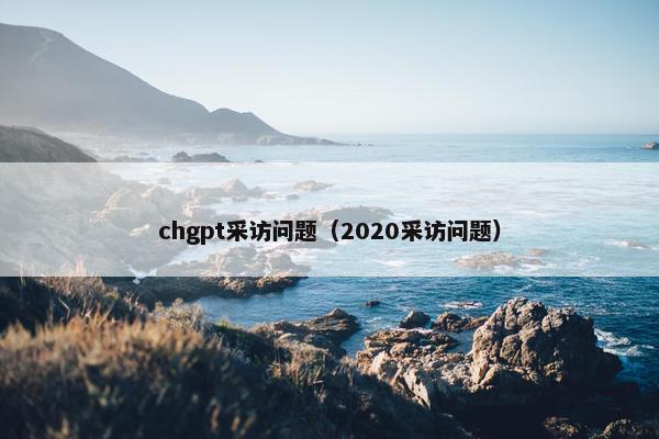 chgpt采访问题（2020采访问题）