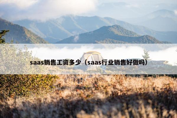 saas销售工资多少（saas行业销售好做吗）