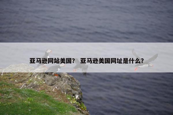 亚马逊网站美国？ 亚马逊美国网址是什么？