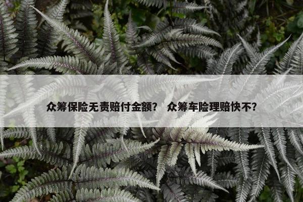 众筹保险无责赔付金额？ 众筹车险理赔快不？