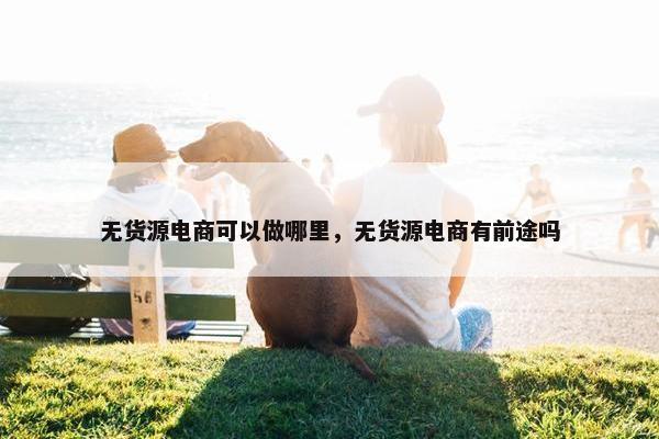 无货源电商可以做哪里，无货源电商有前途吗