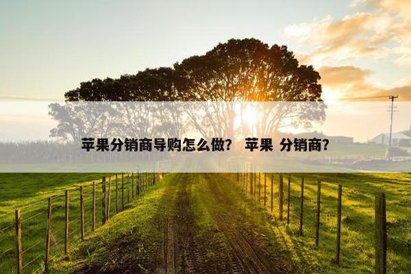 苹果分销商导购怎么做？ 苹果 分销商？