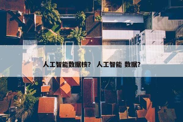 人工智能数据核？ 人工智能 数据？
