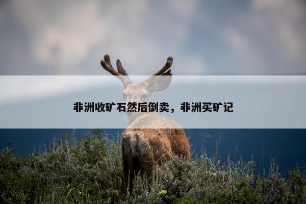 非洲收矿石然后倒卖，非洲买矿记