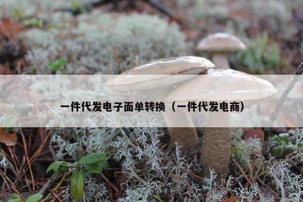 一件代发电子面单转换（一件代发电商）