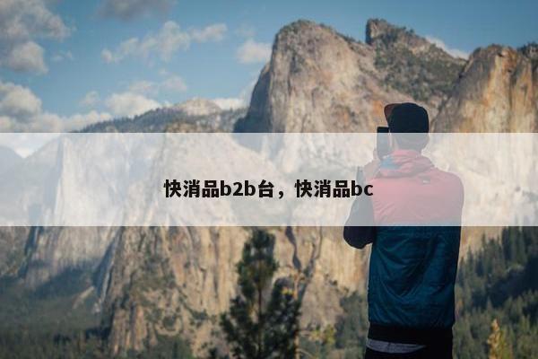 快消品b2b台，快消品bc