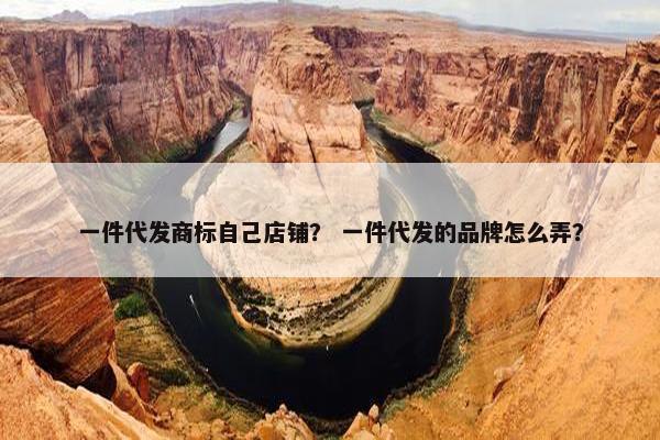 一件代发商标自己店铺？ 一件代发的品牌怎么弄？