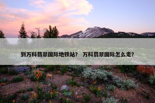到万科翡翠国际地铁站？ 万科翡翠国际怎么走？