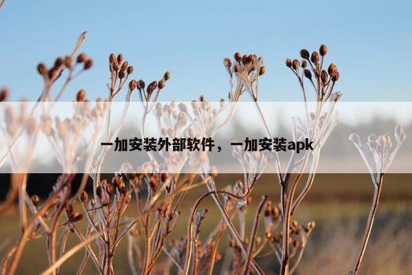 一加安装外部软件，一加安装apk