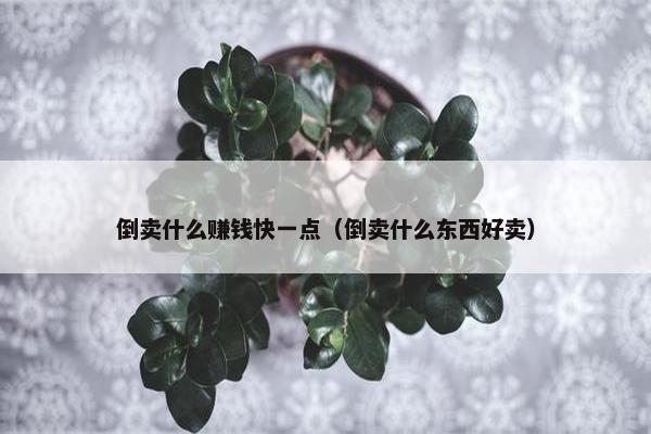 倒卖什么赚钱快一点（倒卖什么东西好卖）