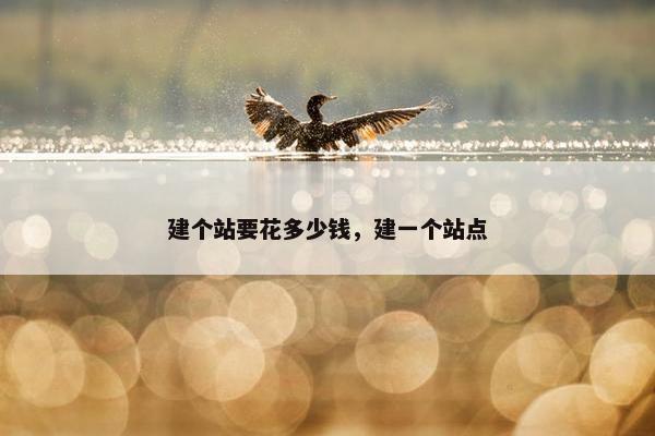 建个站要花多少钱，建一个站点