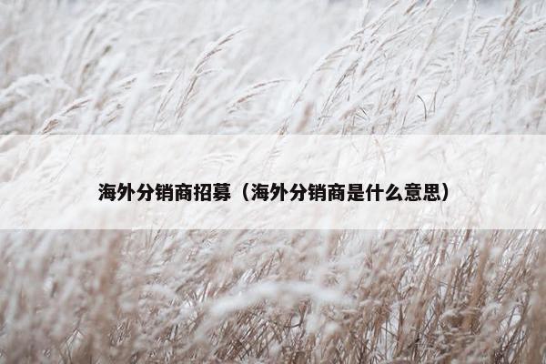 海外分销商招募（海外分销商是什么意思）