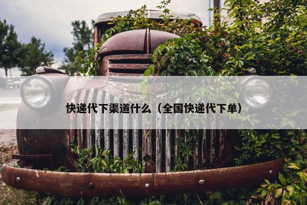 快递代下渠道什么（全国快递代下单）