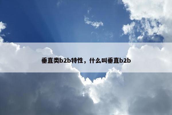 垂直类b2b特性，什么叫垂直b2b