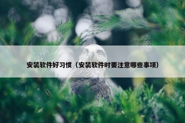 安装软件好习惯（安装软件时要注意哪些事项）