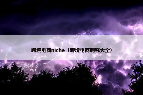 跨境电商niche（跨境电商昵称大全）