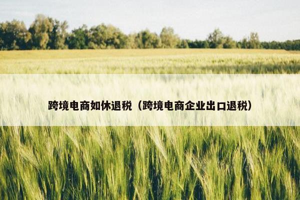 跨境电商如休退税（跨境电商企业出口退税）