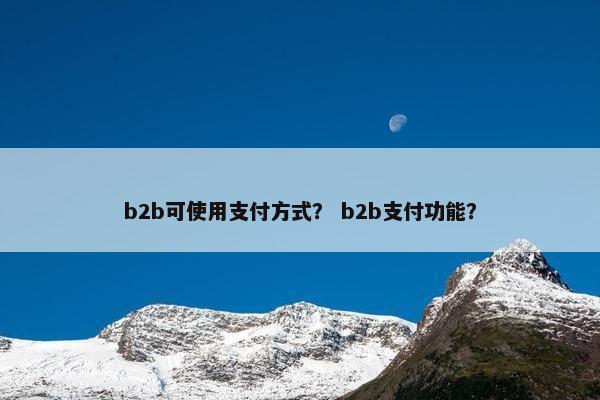 b2b可使用支付方式？ b2b支付功能？