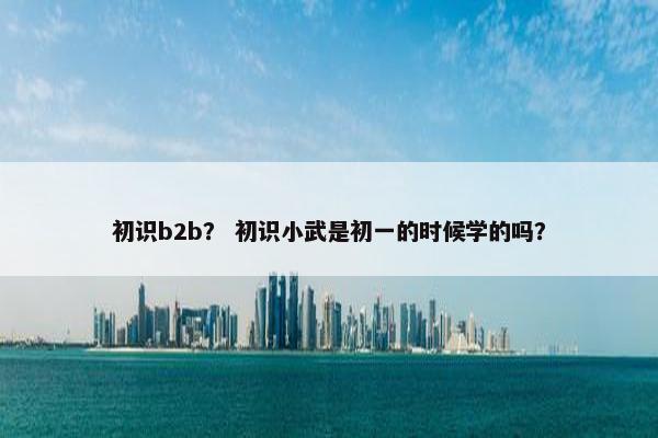 初识b2b？ 初识小武是初一的时候学的吗？
