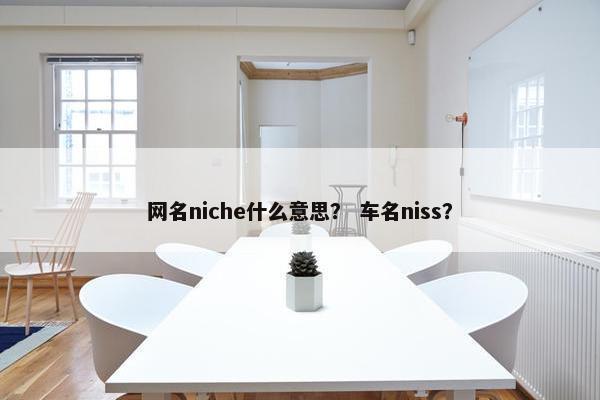 网名niche什么意思？ 车名niss？