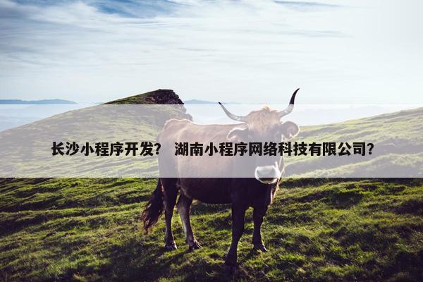 长沙小程序开发？ 湖南小程序网络科技有限公司？