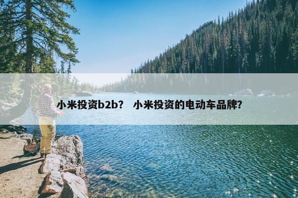 小米投资b2b？ 小米投资的电动车品牌？