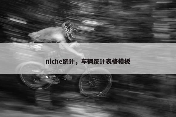 niche统计，车辆统计表格模板