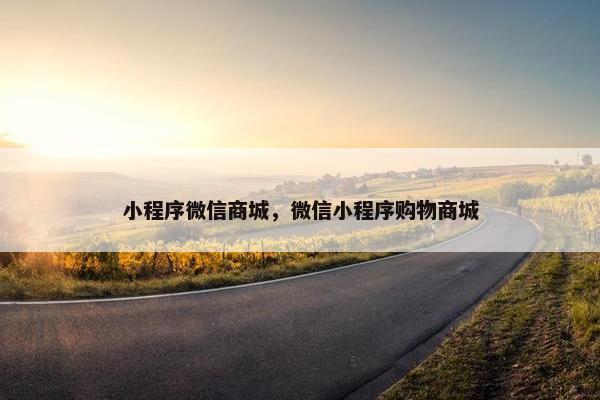 小程序微信商城，微信小程序购物商城