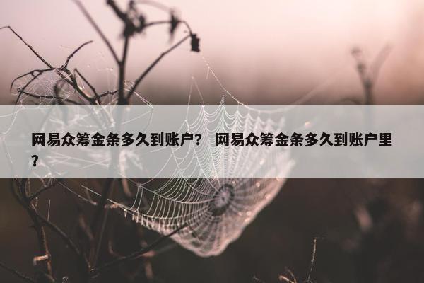 网易众筹金条多久到账户？ 网易众筹金条多久到账户里？
