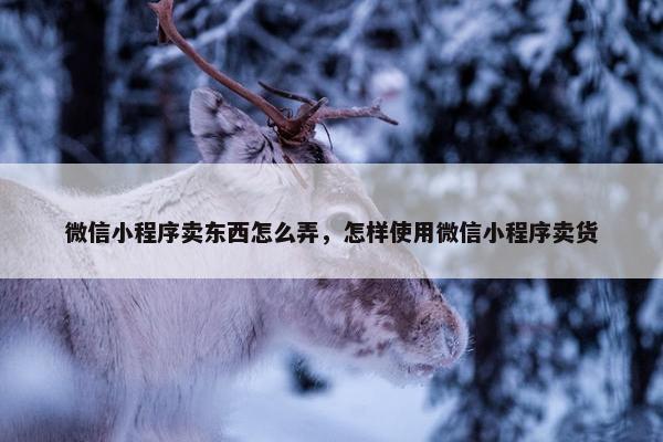 微信小程序卖东西怎么弄，怎样使用微信小程序卖货