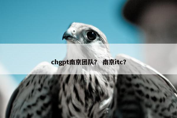 chgpt南京团队？ 南京itc？