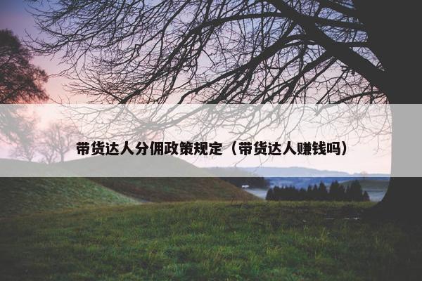 带货达人分佣政策规定（带货达人赚钱吗）