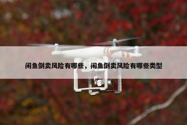 闲鱼倒卖风险有哪些，闲鱼倒卖风险有哪些类型