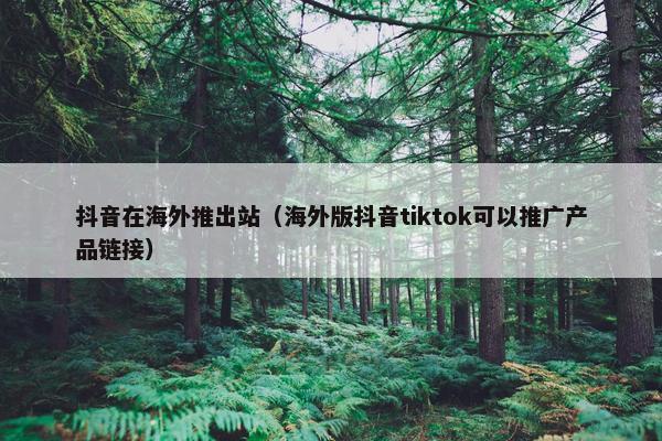 抖音在海外推出站（海外版抖音tiktok可以推广产品链接）